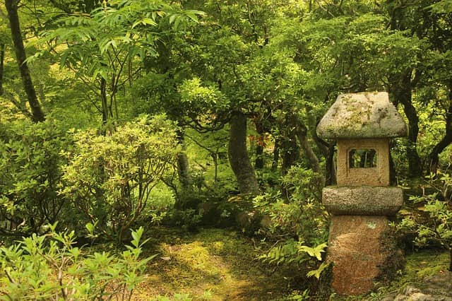 Steinlaterne in japanischem Teegarten