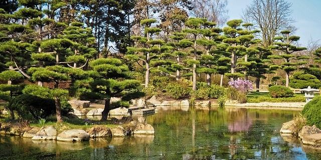 Teich Im Japanischen Garten Anlegen Teichplanung Wasser Als