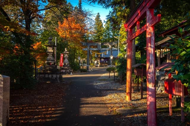 Torii im Japanischen Garten