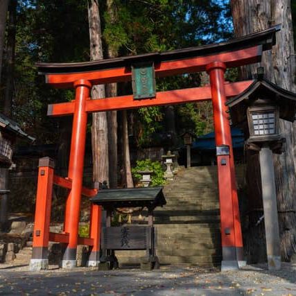 Torii Tor im Japanischen Garten