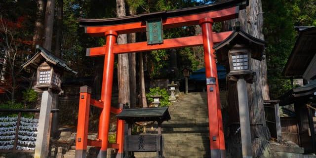 Torii Tor im Japanischen Garten