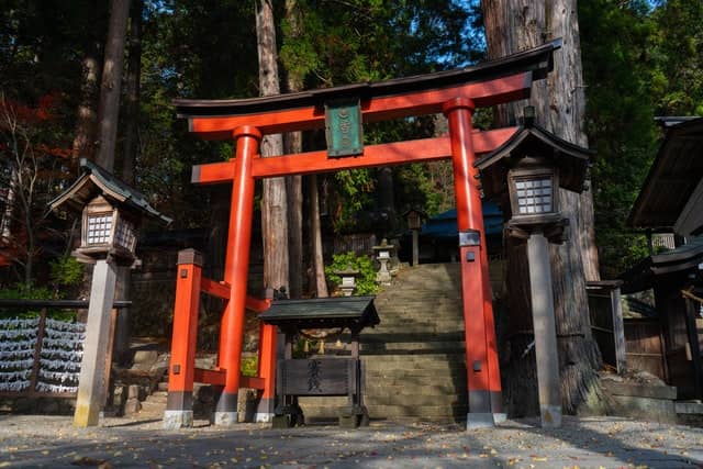 Torii Tor im Japanischen Garten