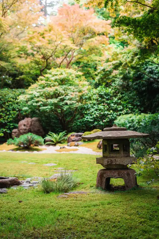 Moos im Teegarten mit japanischer Steinlaterne